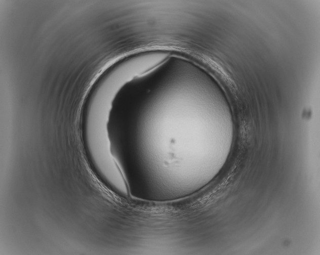 X0000096190934200802151500