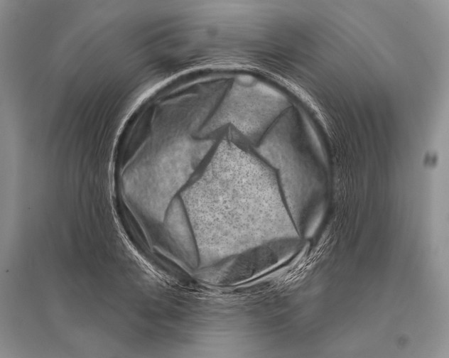 X0000096190935200802151500