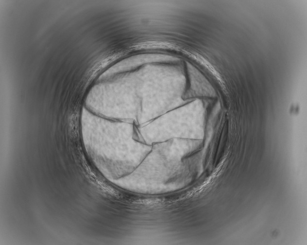 X0000096190937200802151500