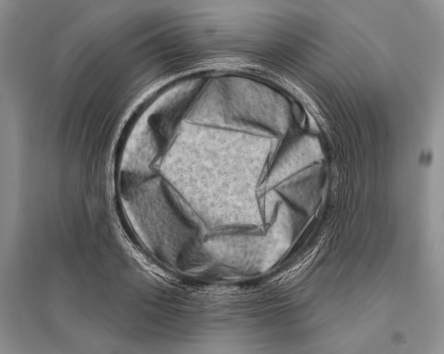 X0000096190939200802151500