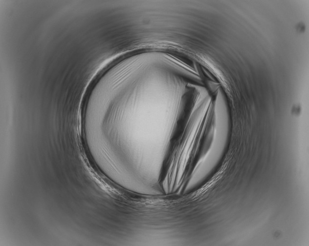 X0000096190940200802151500