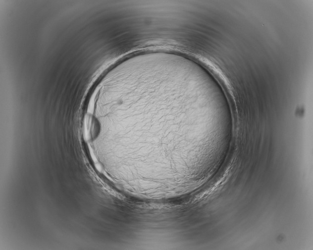 X0000096190941200802151500