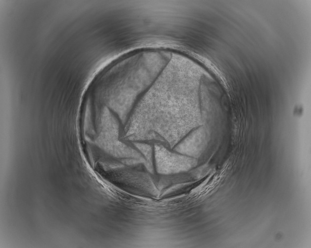 X0000096190943200802151500