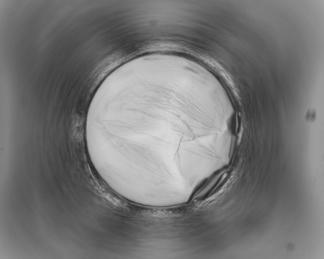 X0000096190945200802151500