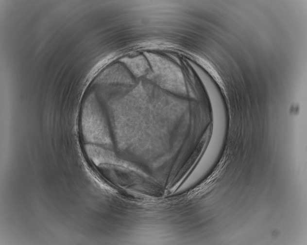 X0000096190946200802151500