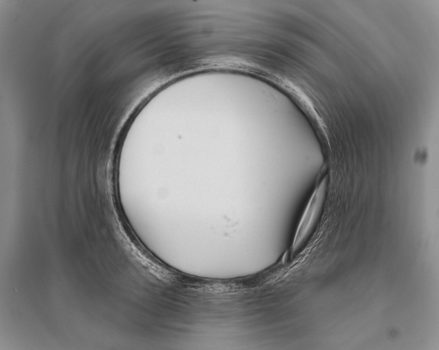 X0000096190947200802151500