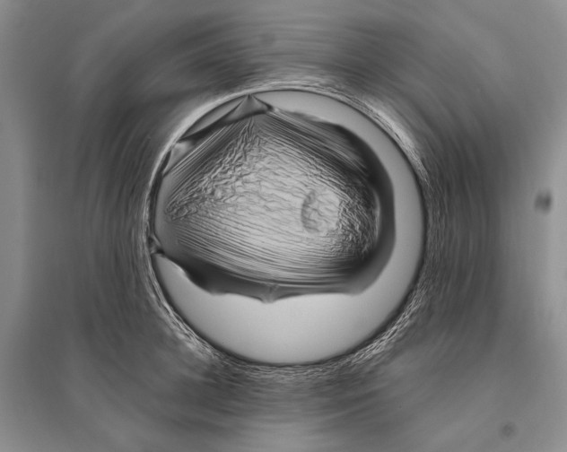 X0000096190948200802151500