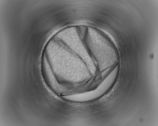 X0000096190949200802151500