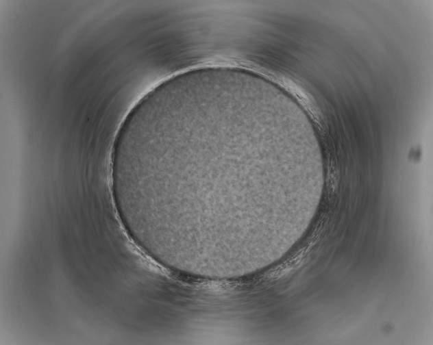 X0000096190950200802151500