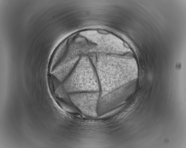 X0000096190951200802151500