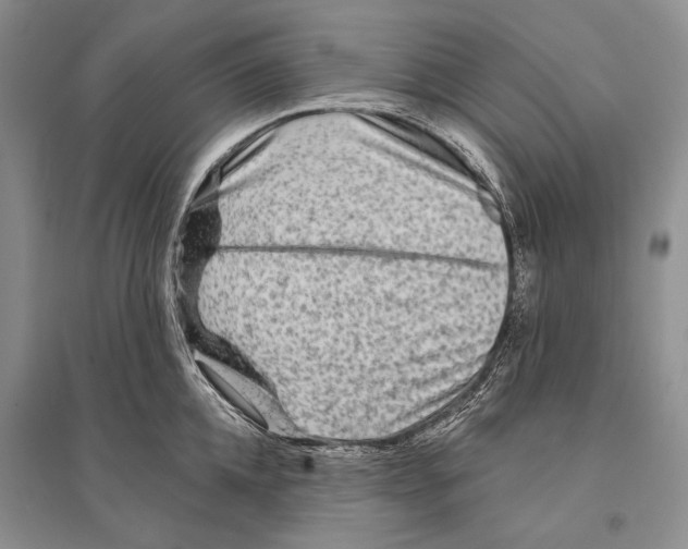 X0000096190952200802151500