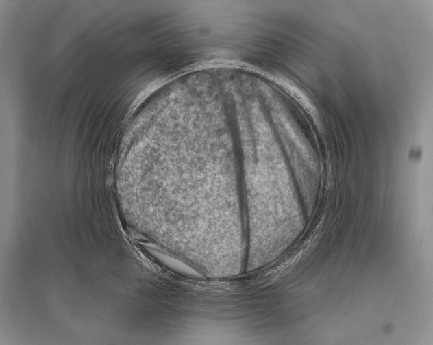 X0000096190953200802151500