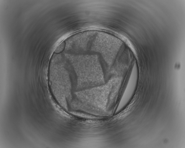 X0000096190954200802151500