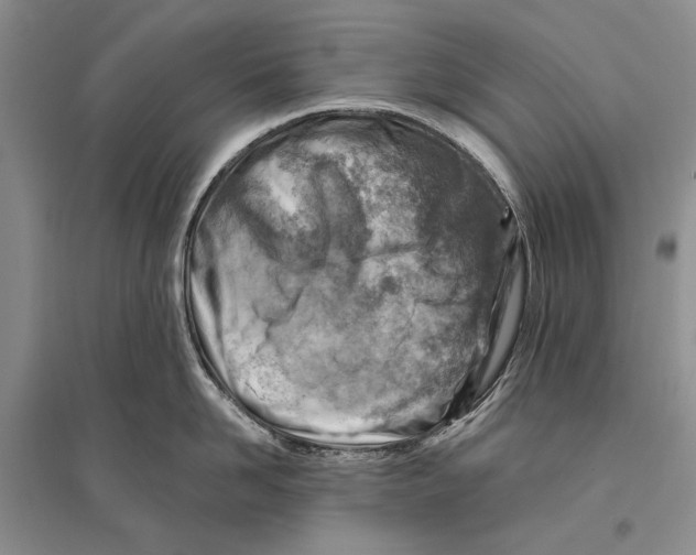 X0000096190958200802151500