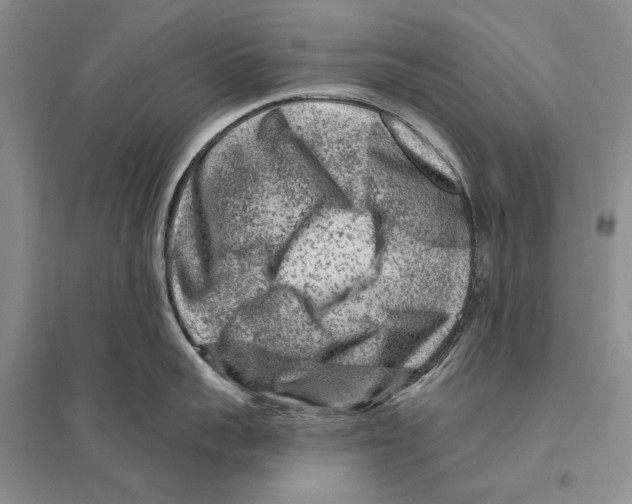 X0000096190959200802151500