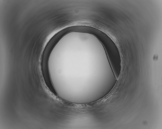 X0000096190960200802151500