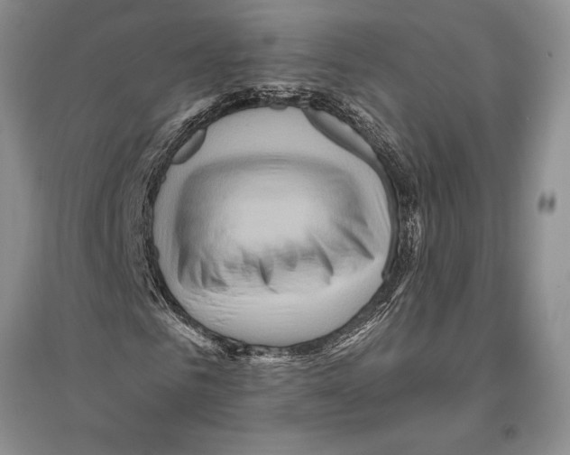 X0000096190961200802151500