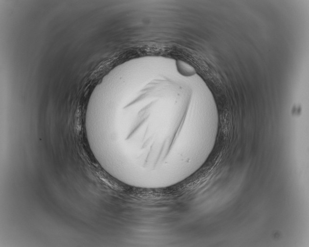 X0000096190962200802151500