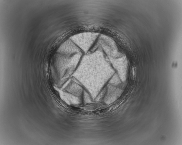 X0000096190963200802151500