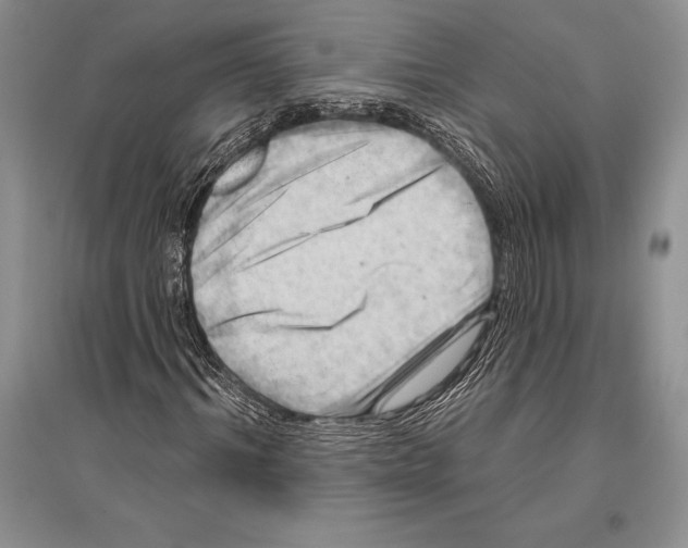 X0000096190964200802151500