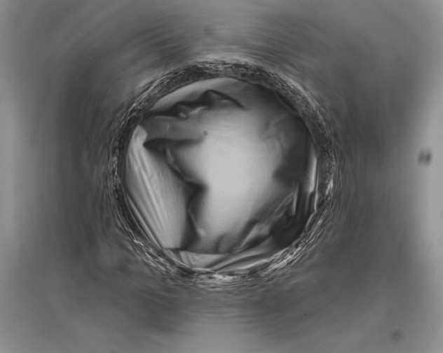 X0000096190965200802151500