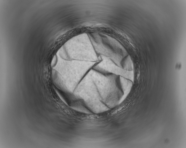 X0000096190966200802151459