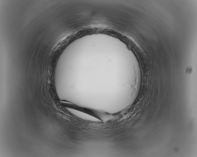 X0000096190967200802151459