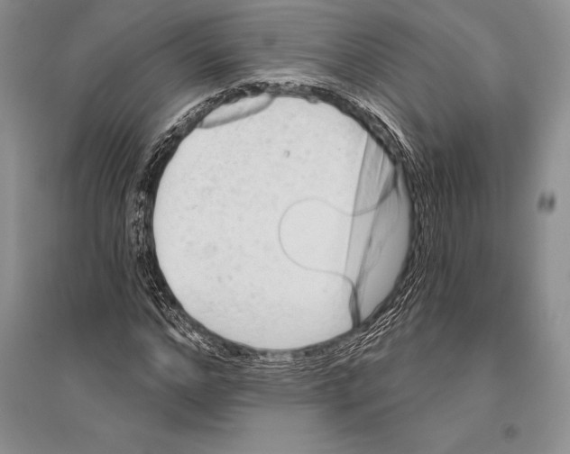 X0000096190968200802151459