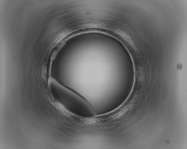 X0000096190969200802151459