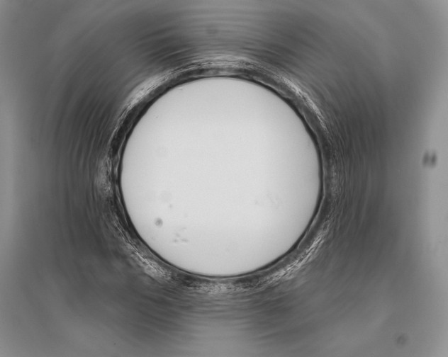 X0000096190970200802151459