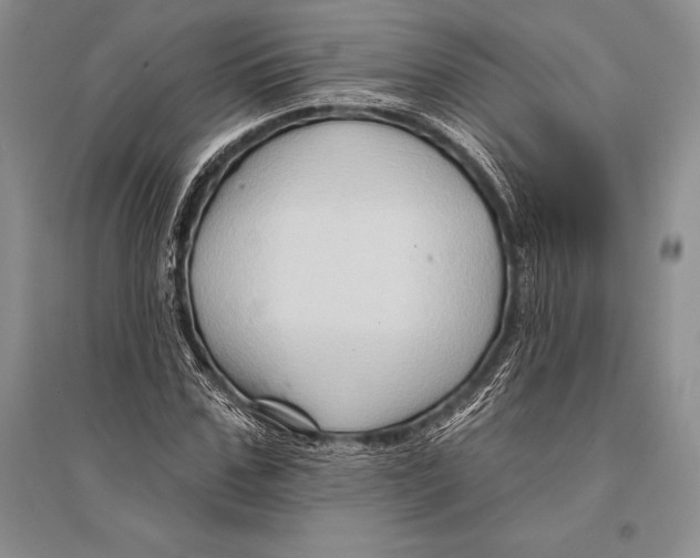 X0000096190971200802151459