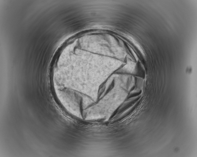 X0000096190972200802151459