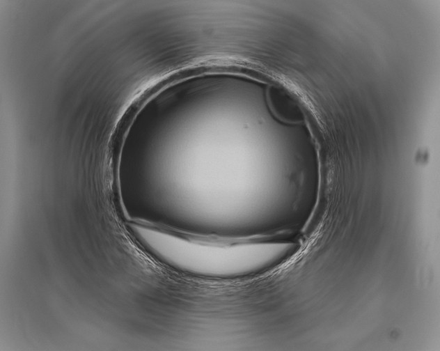 X0000096190973200802151459