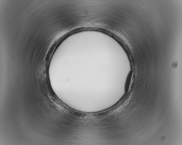 X0000096190974200802151459