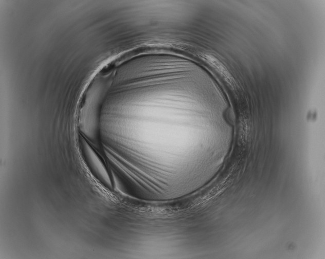 X0000096190976200802151459