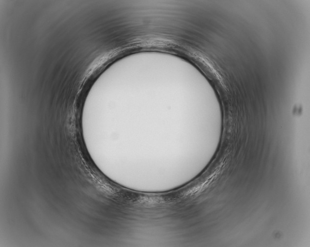 X0000096190978200802151459