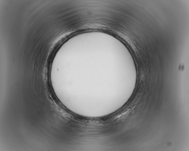 X0000096190979200802151459