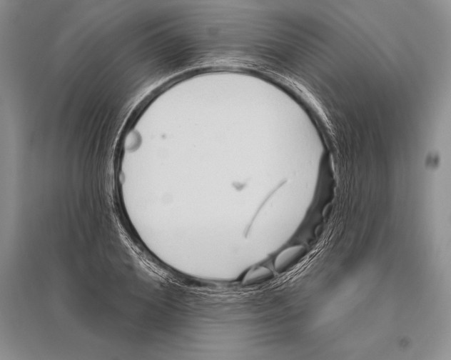 X0000096190980200802151459