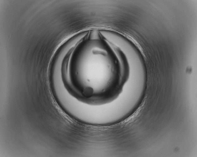 X0000096190981200802151459