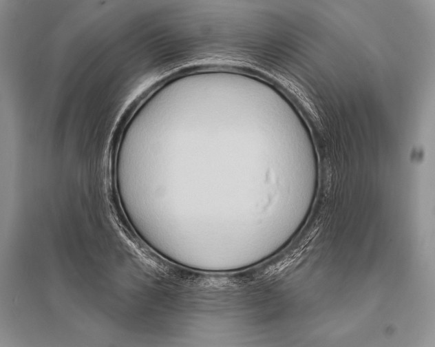 X0000096190982200802151459