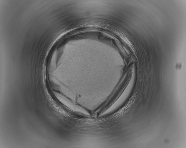 X0000096190984200802151459