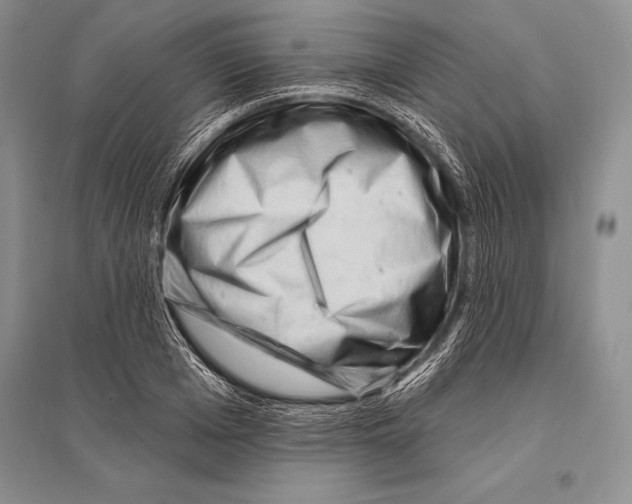 X0000096190985200802151459