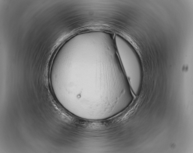 X0000096190986200802151459