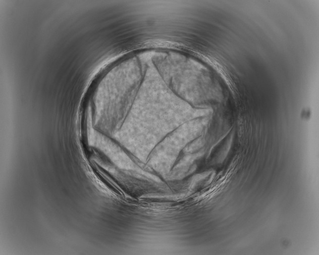 X0000096190987200802151459