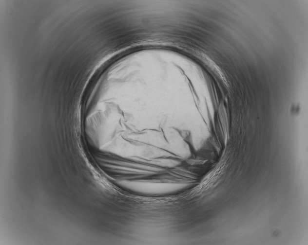 X0000096190988200802151459