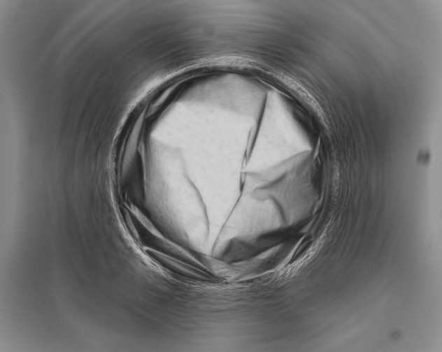 X0000096190989200802151459