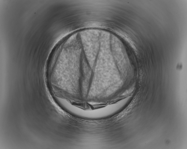 X0000096190991200802151459