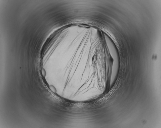 X0000096190992200802151459