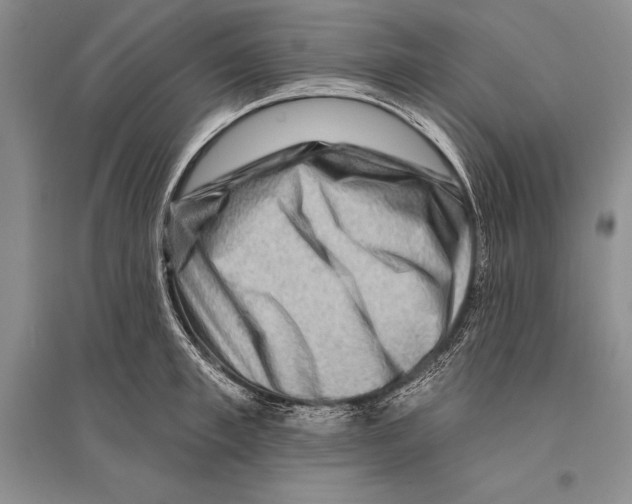 X0000096190997200802151459