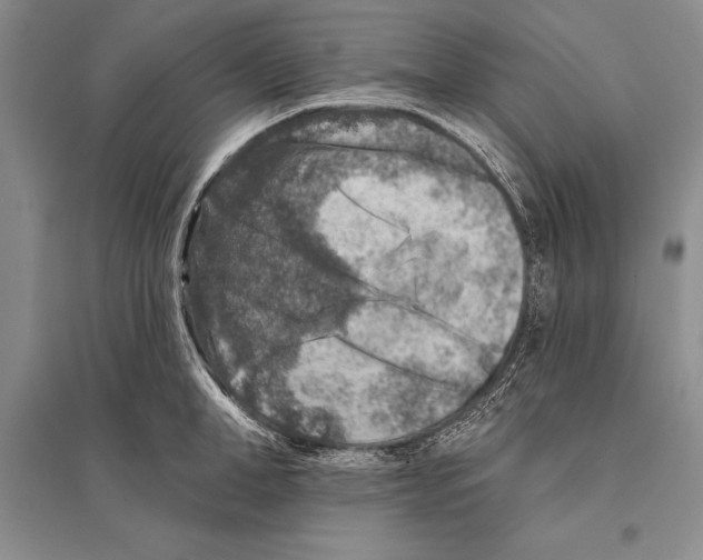 X0000096190998200802151459